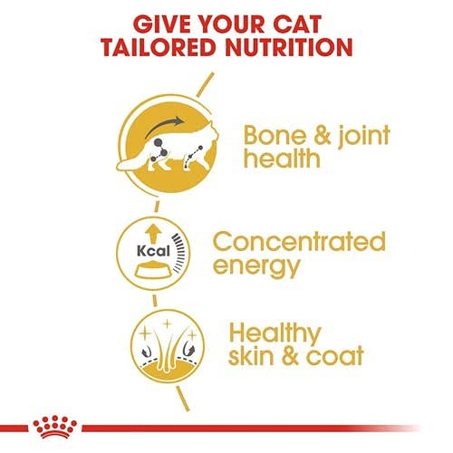 ROYAL CANIN Maine Coon Adult Cat Food 4kg