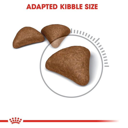 ROYAL CANIN Hairball Care Adult Dry Cat Food 400g