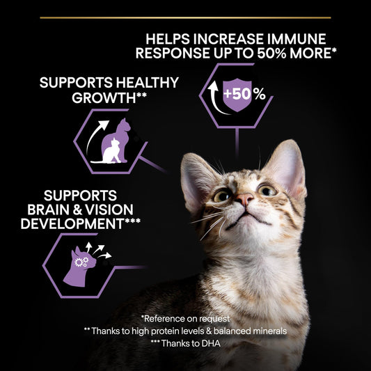 Pro Plan Dry Cat Food